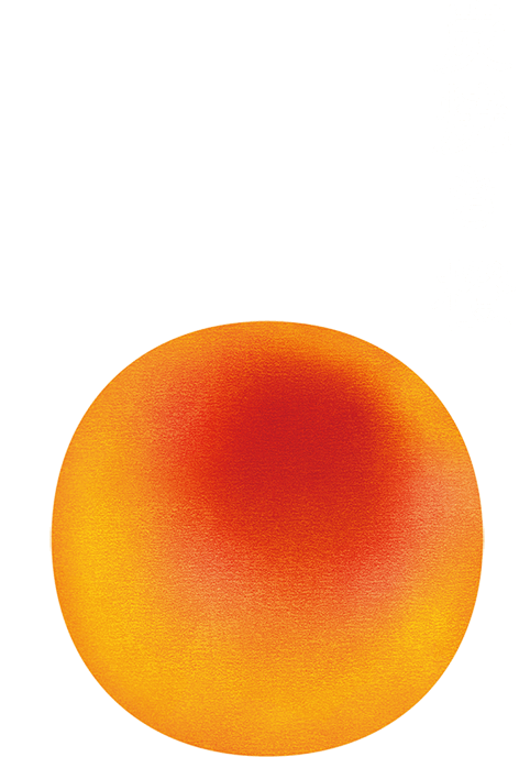 炭焼き 橙（だいだい）